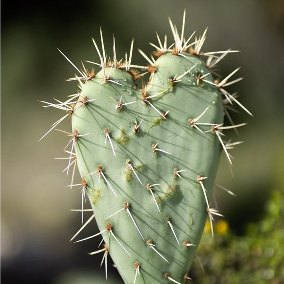 Hey! Read about your designer. ๐ - Picture 8 of 8